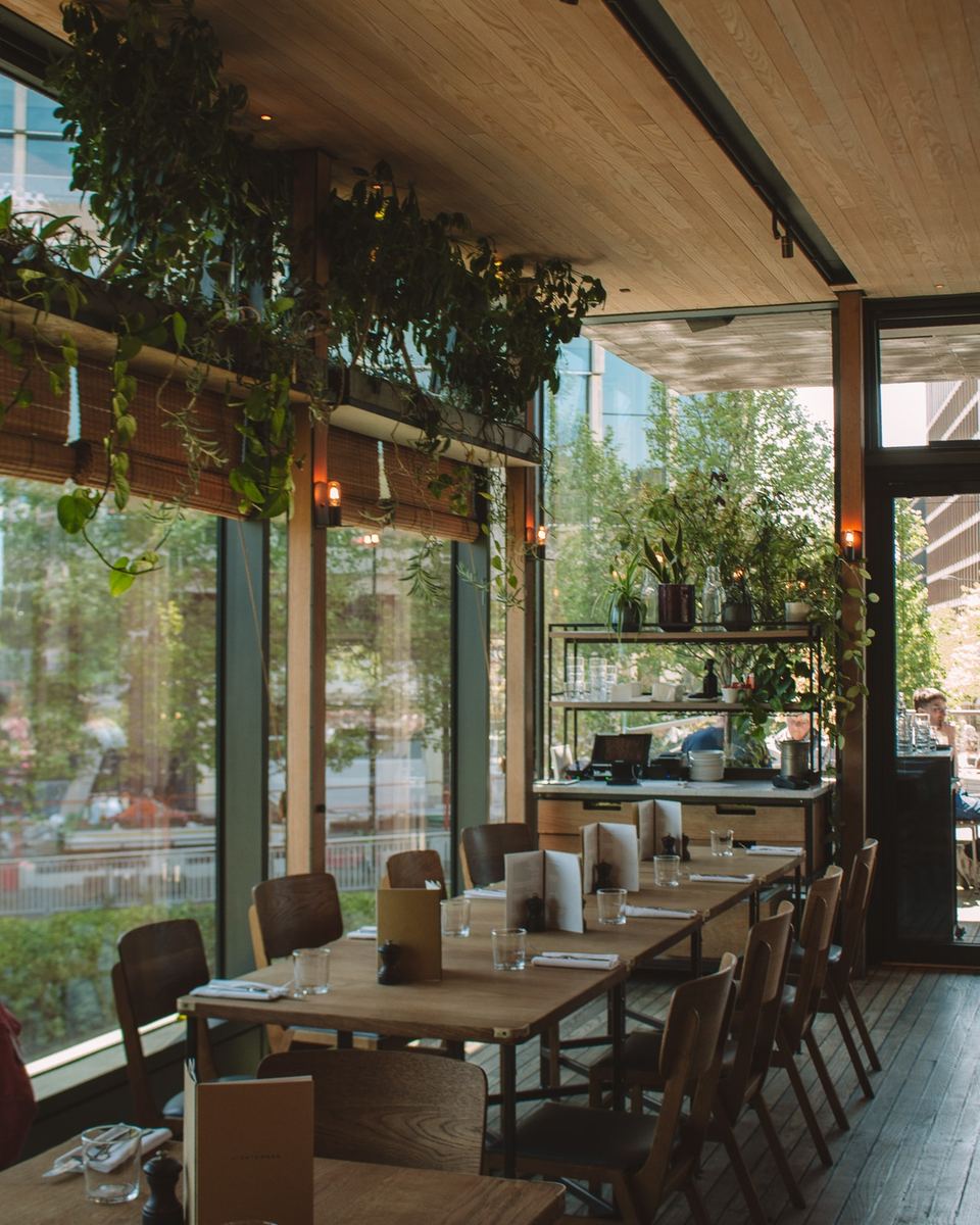 Sunlit restaurant with long wooden tables and hanging plants
